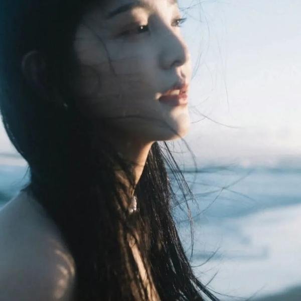 陆昭昭的刺客笔记